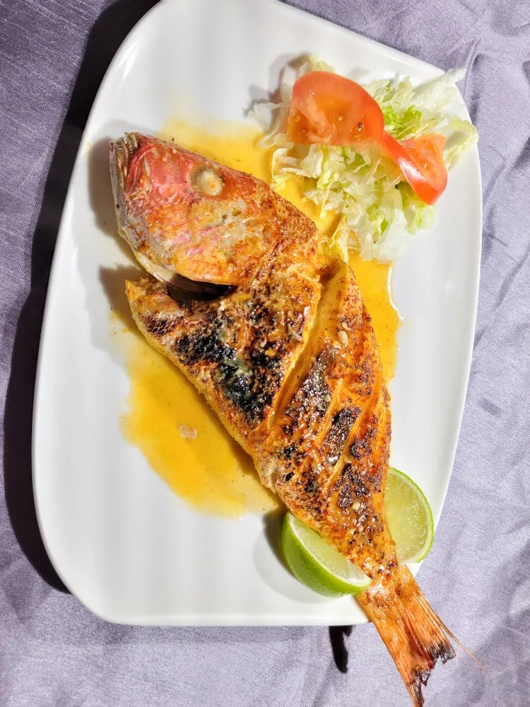 Pargo Rojo Red Snapper